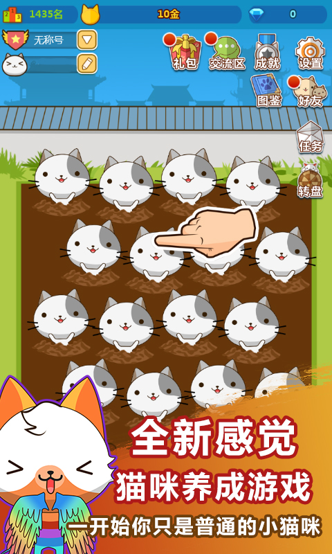 叫我猫主子