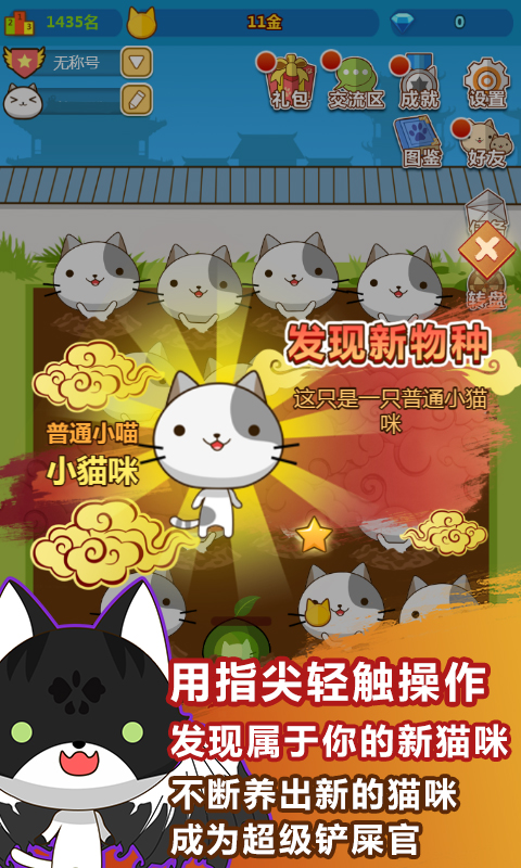 叫我猫主子