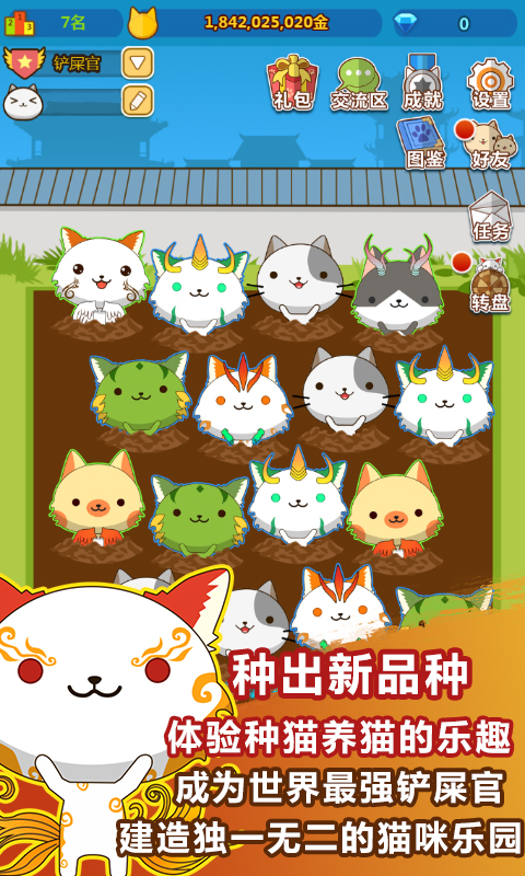叫我猫主子